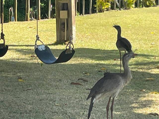 #592 - Chácara para Venda em Guarapari - ES