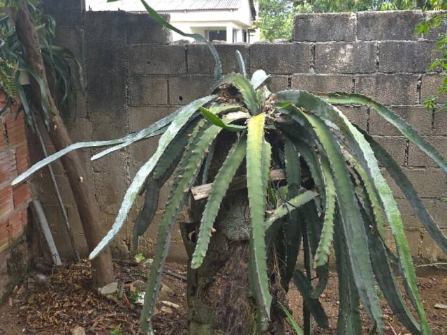 #1107 - Casa para Venda em Guarapari - ES